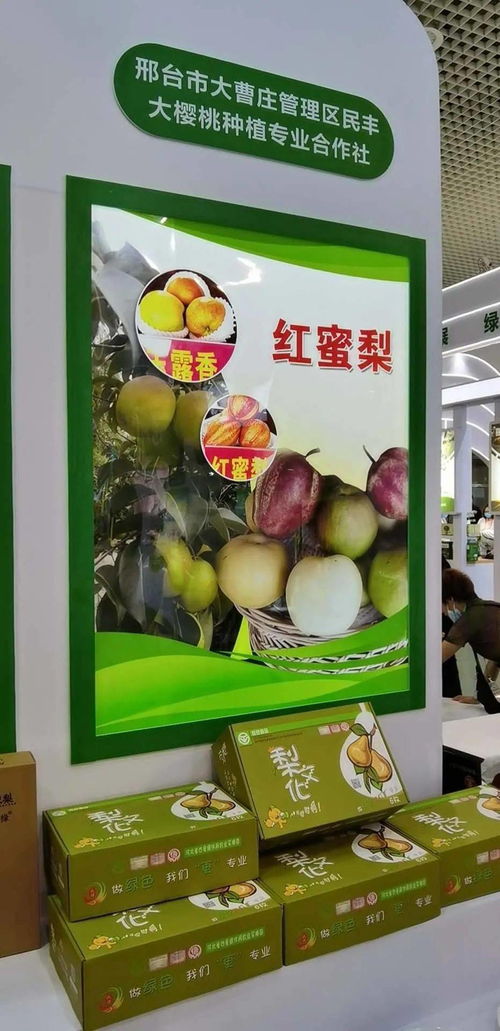 寧晉綠色農產品在廈門綠博會廣受歡迎，水產品零售表現搶眼