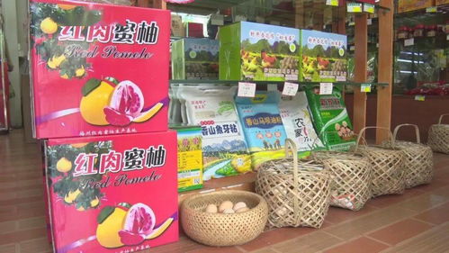 農(nóng)村電商網(wǎng)紅助力農(nóng)產(chǎn)品熱銷，促進(jìn)農(nóng)民增收致富